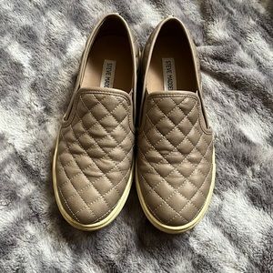 Steve Madden Ecentrcq Sneakers